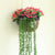 Green Decorative Succulent Plants
