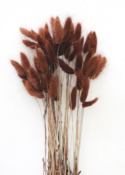 Beautiful Dried Pampas Grass Boquet