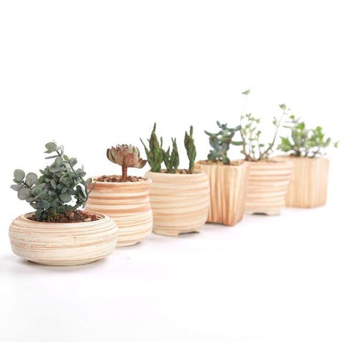 Victoria - Multipurpose Ceramic Planter - Silky decor