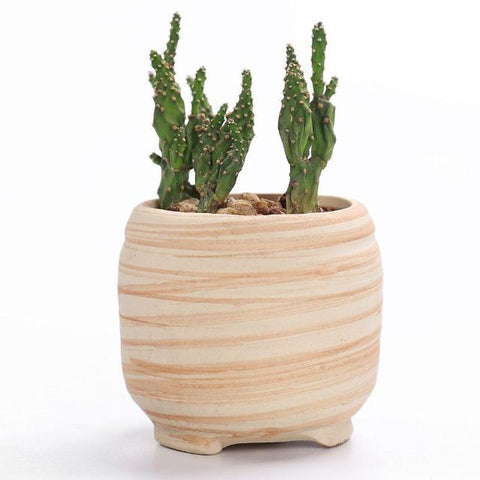 Victoria - Multipurpose Ceramic Planter - Silky decor