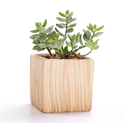 Victoria - Multipurpose Ceramic Planter - Silky decor