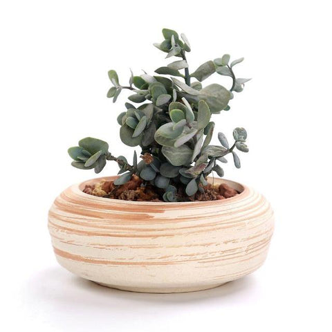 Victoria - Multipurpose Ceramic Planter - Silky decor