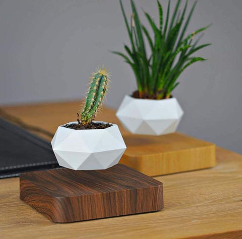 LEVITATING PLANT POT