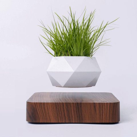 LEVITATING PLANT POT