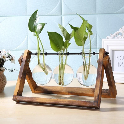 Terra - Hydroponics Transparent Plant Vase