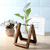 Terra - Hydroponics Transparent Plant Vase