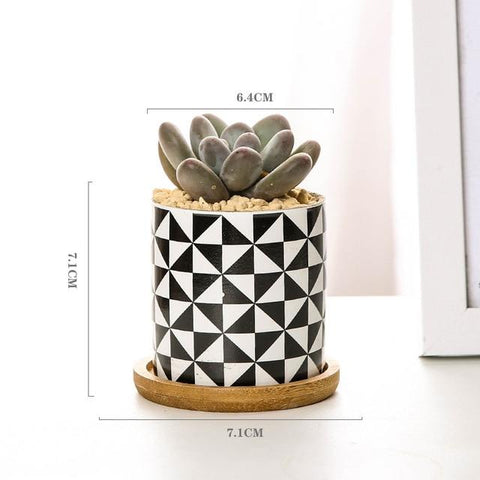 Aiva - Nordic Geometric Succulent Planter - Silky decor
