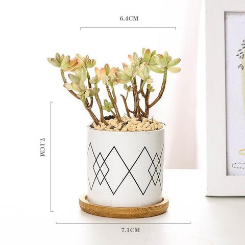 Aiva - Nordic Geometric Succulent Planter - Silky decor