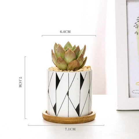 Aiva - Nordic Geometric Succulent Planter - Silky decor