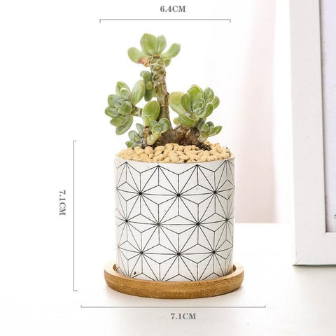 Aiva - Nordic Geometric Succulent Planter - Silky decor