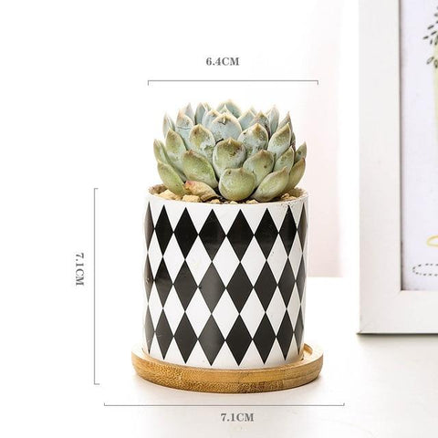 Aiva - Nordic Geometric Succulent Planter - Silky decor