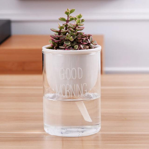 Automatic Watering Planter Pot - Silky decor