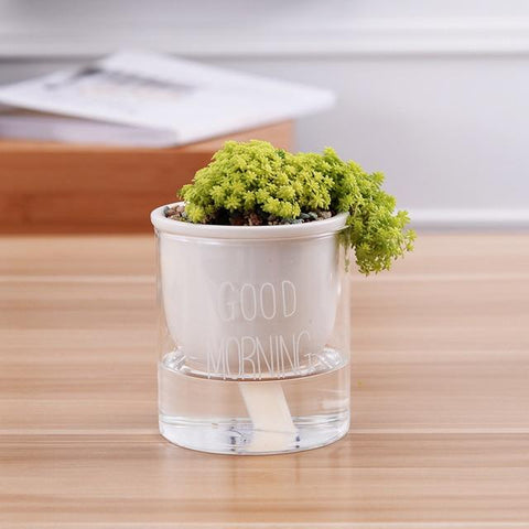 Automatic Watering Planter Pot - Silky decor