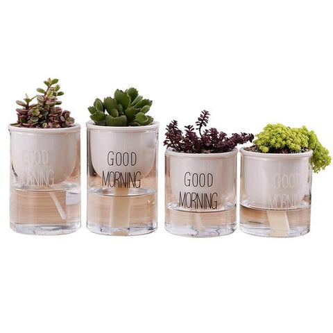 Automatic Watering Planter Pot - Silky decor