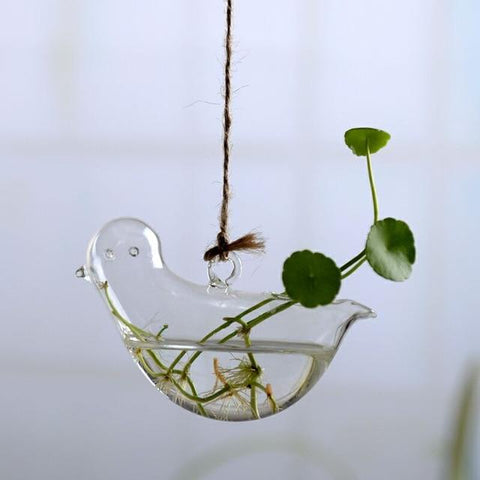Jing - Hydroponic Hanging Flower Pot - Silky decor