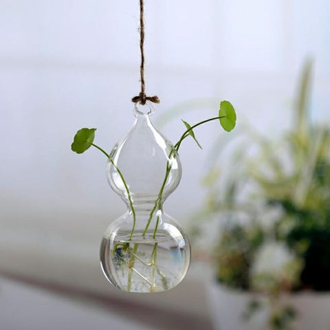 Jing - Hydroponic Hanging Flower Pot - Silky decor