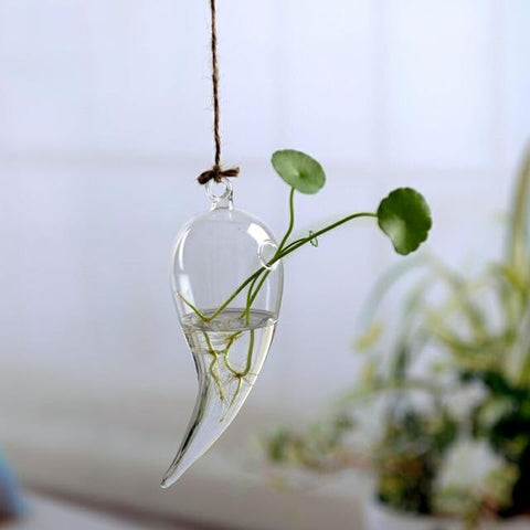 Jing - Hydroponic Hanging Flower Pot - Silky decor