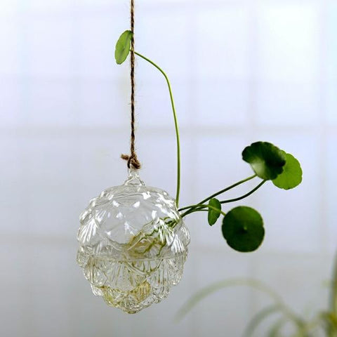 Jing - Hydroponic Hanging Flower Pot - Silky decor