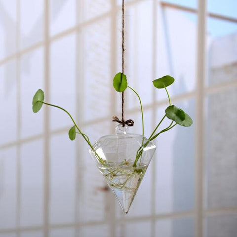 Jing - Hydroponic Hanging Flower Pot - Silky decor