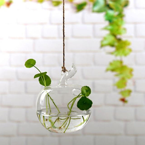 Jing - Hydroponic Hanging Flower Pot - Silky decor