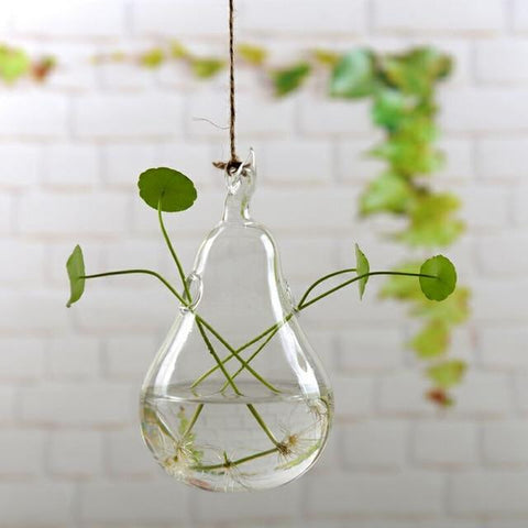Jing - Hydroponic Hanging Flower Pot - Silky decor