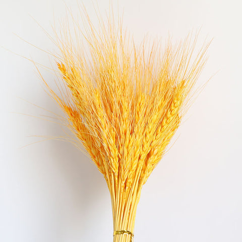 Beautiful Dried Pampas Grass Boquet