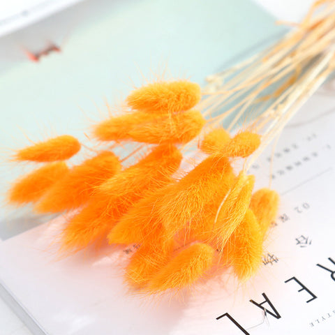 Beautiful Dried Pampas Grass Boquet