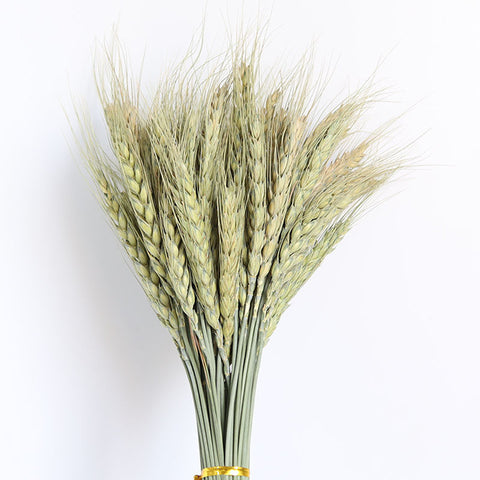 Beautiful Dried Pampas Grass Boquet