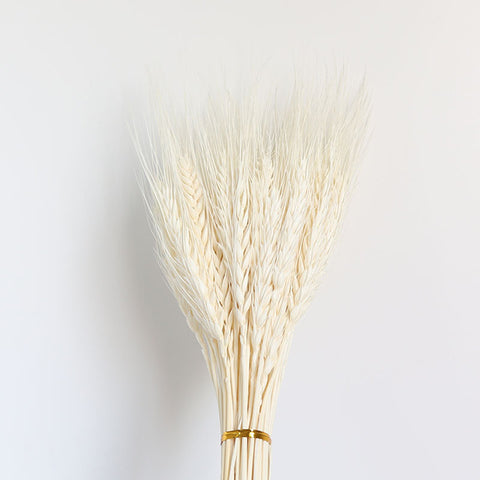 Beautiful Dried Pampas Grass Boquet