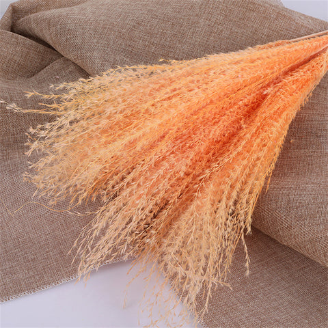 Beautiful Dried Pampas Grass Boquet