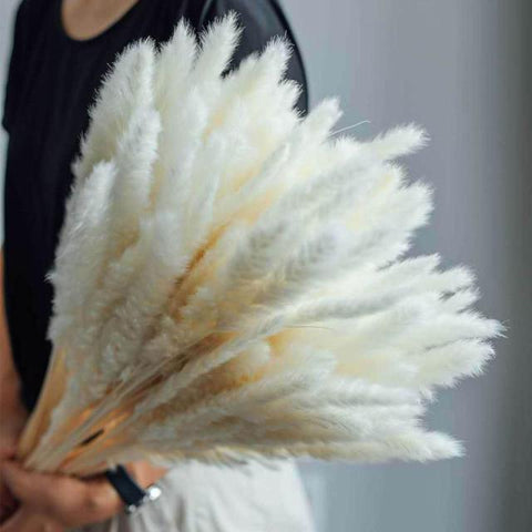 Beautiful Dried Pampas Grass Boquet